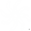 Octopus LMS Logo